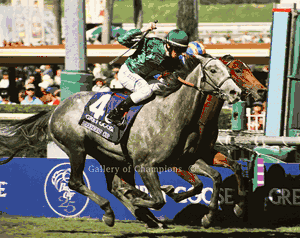Dontivum Art Print - 2008 Breeder's Cup Winning Horse
