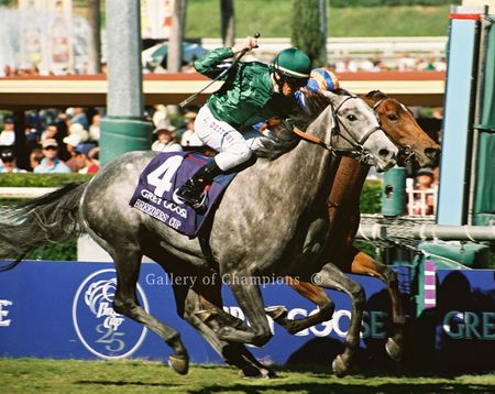 Dontivum Art Print - 2008 Breeder's Cup Winning Horse