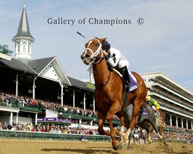 Dreaming Of Anna Photo - 2006 Breeder's Cup Champion - Twin Spires
