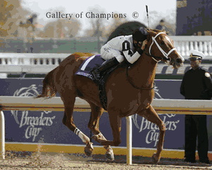Dreaming Of Anna Photo - 2006 Breeder's Cup Juvenile Filles Winner