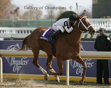 Dreaming Of Anna Photo - 2006 Breeder's Cup Juvenile Filles Winner