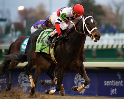 Dubai Majesty - 2010 Breeder's Cup Winning Horse Photo