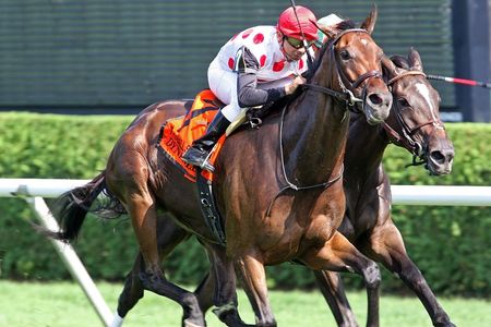 Dynaslew Wins 2010 Ballston Spa at Saratoga