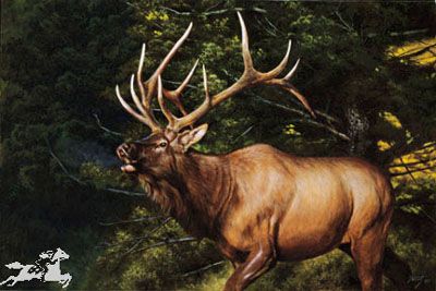 Edward Aldrich - A Call To Rivals - Limited Edition