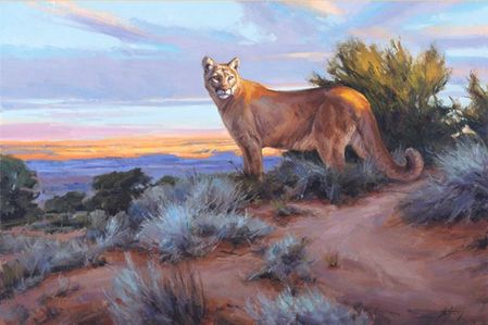 Edward Aldrich - His Territory - Mountain Lion Print