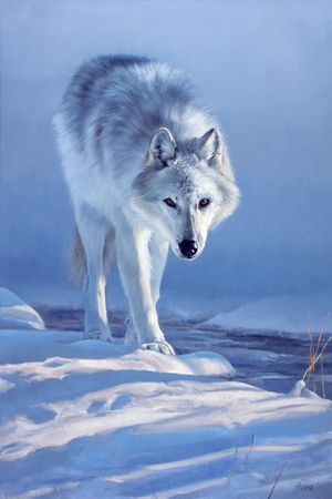 Edward Aldrich - Master of Prowlin - Wolf Giclee