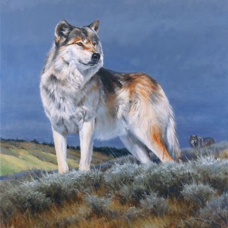 Edward Aldrich - Western Nobleman - Wolf Print