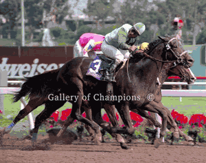Elmhurst Photo - 1997 Breeder's Cup Sprint Winner