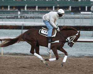 English Channel Photo - Working Out Before 2007 Breeder's Cup