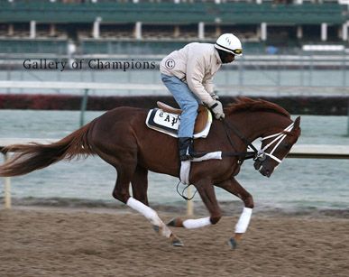 English Channel Photo - Working Out Before 2007 Breeder's Cup