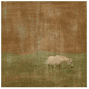 Erin Clark - White Horse - Paper and Canvas Options