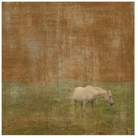 Erin Clark - White Horse - Paper and Canvas Options
