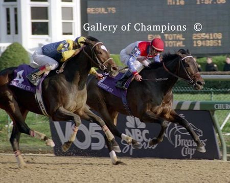 Escena Photo - 1998 Breeder's Cup Distaff Winner