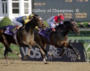 Escena Photo - 1998 Breeder's Cup Distaff Winner