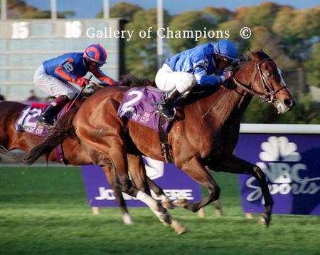 Fantastic Light Photo - 2001 Breeder's CupTurf Winner