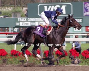 Favorite Trick Photo - 1997 Breeder's Cup Juvenile Colts Winner