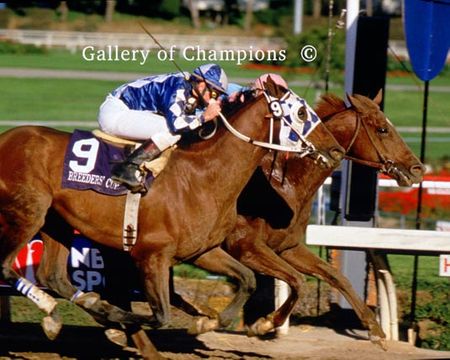 Ferdinand Photo - 1987 Breeder's Cup Classic Winner