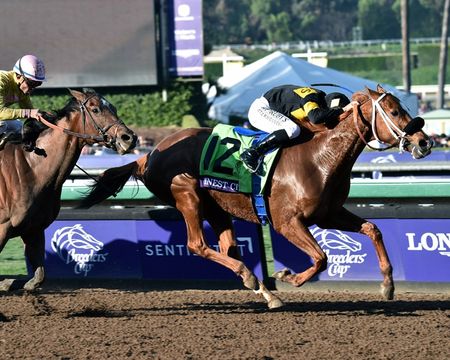 Finest City - 2016 Breeders Cup - Framed/Unframed