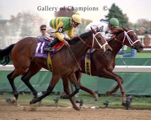 Flanders Photo - 1994 Breeder's Cup Juvenile Fillies Winner