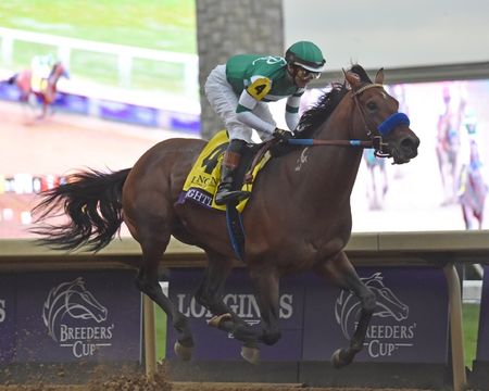 Flightline Demolishes Field in 2022 Breeders Cup Classic