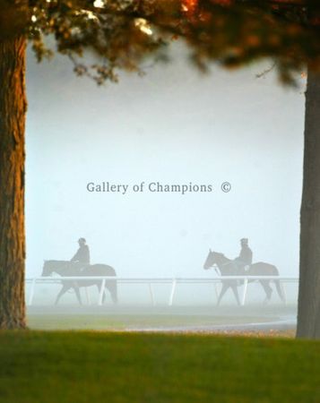 Fog - Saratoga Race Course