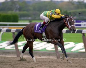 Folklore Photo - 2005 Breeder's Cup Juvenile Fillies Winner