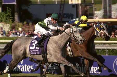 Forever Together Art Print - Breeder's Cup Winning Horse
