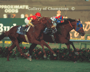 Fraise Photo - 1992 Breeder's Cup Turf Winner