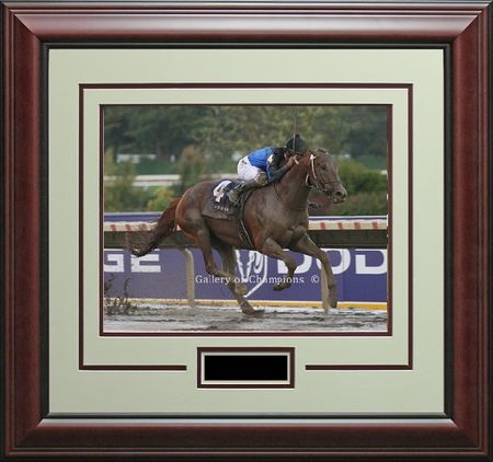 Curlin In The 2008 Breeders Cup Stretch - Framed Photo