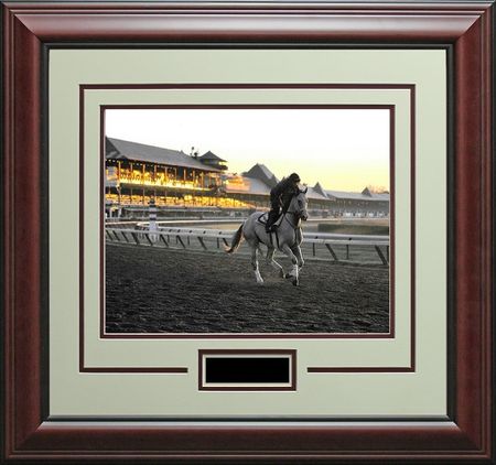 Framed Saratoga Lonely Gallop 3