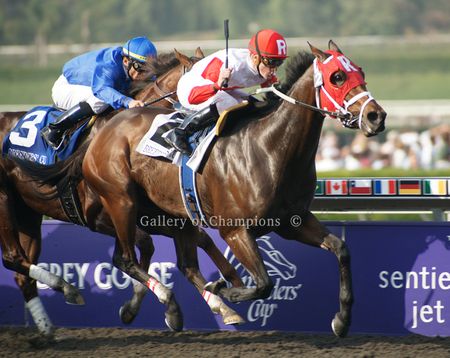 Furthest Land - 2009 Breeder's Cup Dirt Mile Winning Horse Photo