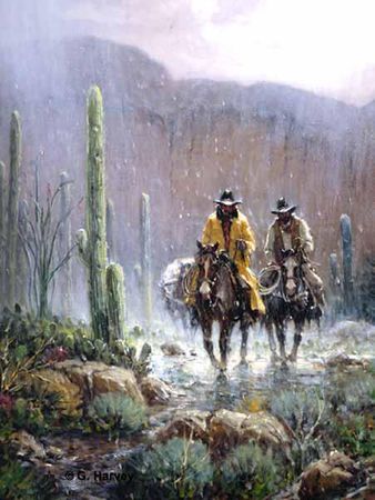 G. Harvey - Gift of Rain - Canvas