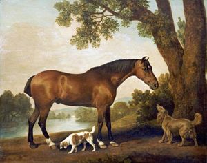 George Stubbs - A Bay Hunter, A Springer Spaniel... - New Addition!