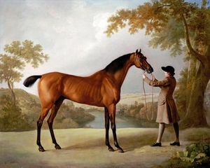 George Stubbs - Tristram Shandy - New Addition!