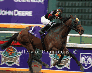 Ghostzapper Photo - 2004 Breeder's Cup Classic Winner