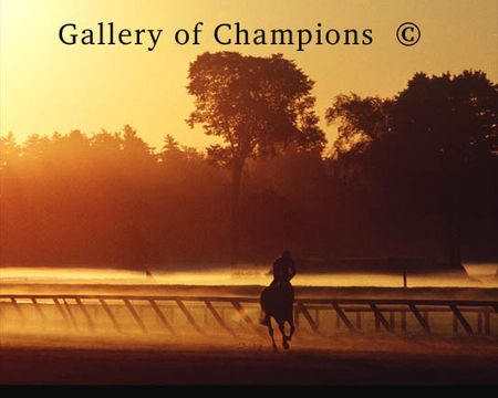 Golden Gallop -- Saratoga Race Course