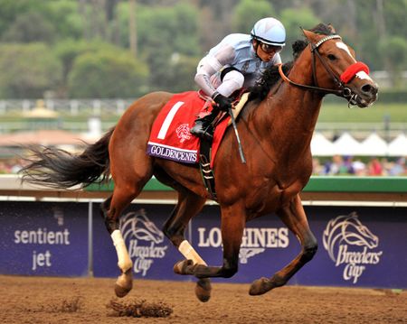 Goldencents Wins 2014 Breeders Cup Mile - Framed & Unframed Photos