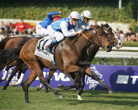 Goldikova - 2009 Breeder's Cup Turf Mile Winning Horse Photo