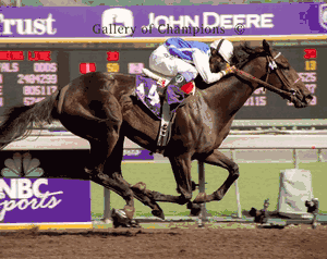Halfbridled Photo - 2003 Breeder's Cup Juvenile Fillies Winner