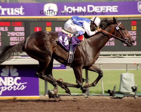 Halfbridled Photo - 2003 Breeder's Cup Juvenile Fillies Winner