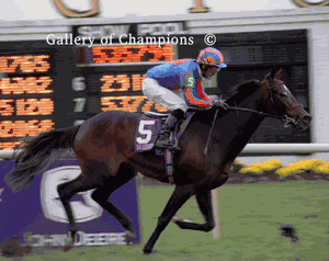 High Chaparral Photo - 2002 Breeder's Cup Turf Winner