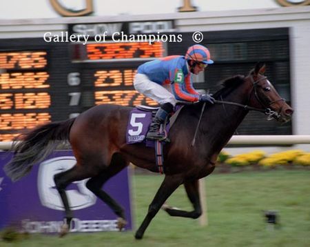High Chaparral Photo - 2002 Breeder's Cup Turf Winner