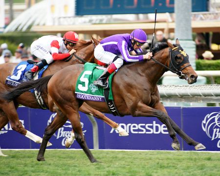 Hootenanny Wins 2014 Breeders Cup Juv Turf - Framed & Unframed Photos