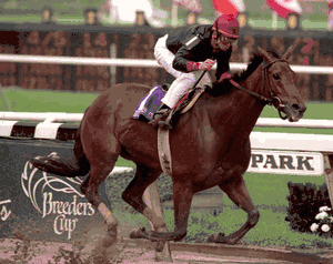 Inside Information Photo - 1995 Breeder's Cup Distaff Winner