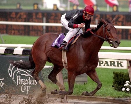 Inside Information Photo - 1995 Breeder's Cup Distaff Winner