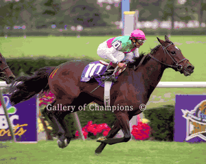 Intercontinental Photo - 2005 Breeder's Cup Filly & Mare Turf Winner