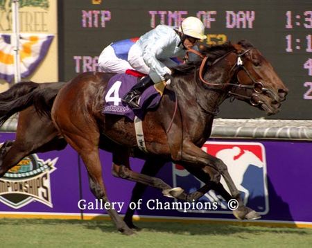 Islington Photo - 2003 Breeder's Cup Filly & Mare Turf Winner
