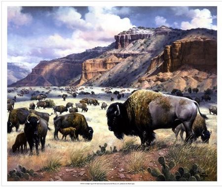 Jack Sorenson - Goodnight's Legacy - Bison Print