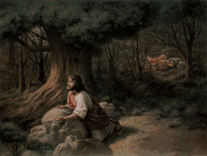 James Seward - Thy Will Be Done - Limited Edition