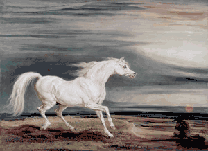 James Ward - Marengo Barb Charger - Horse Print